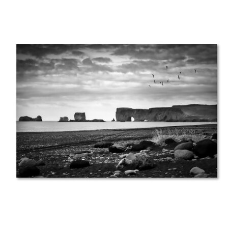 Trademark Fine Art Philippe Sainte-Laudy 'Black Dyrholaey' Canvas Art, 30x47 PSL0616-C3047GG